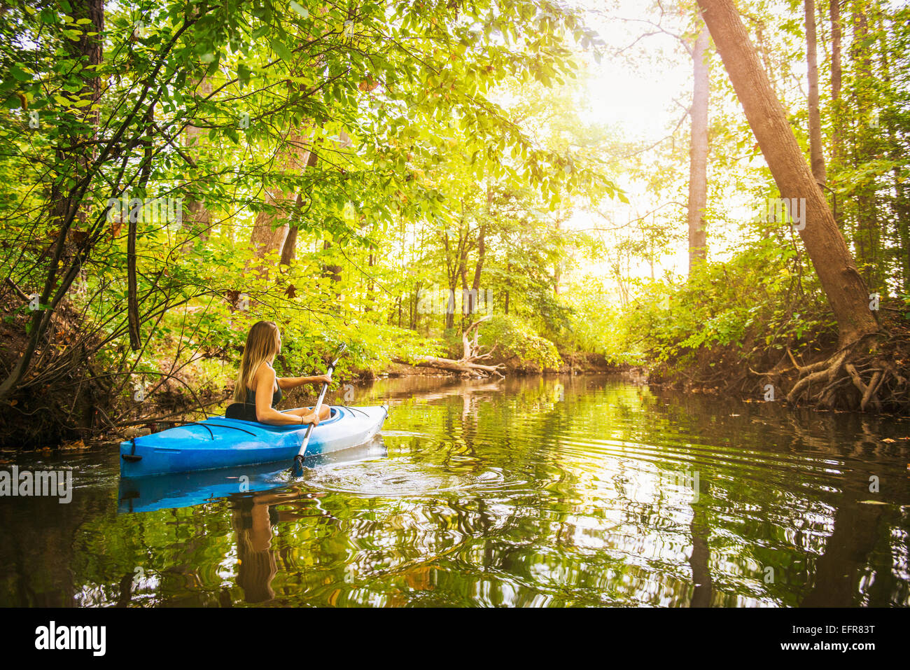 Young woman kayaking on forest river, Cary, North Carolina, USA Stock Photo