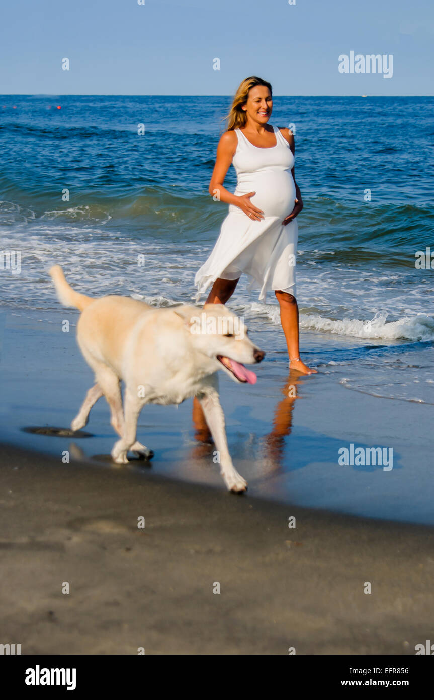 Pregnant mature woman walking dog on beach Stock Photo