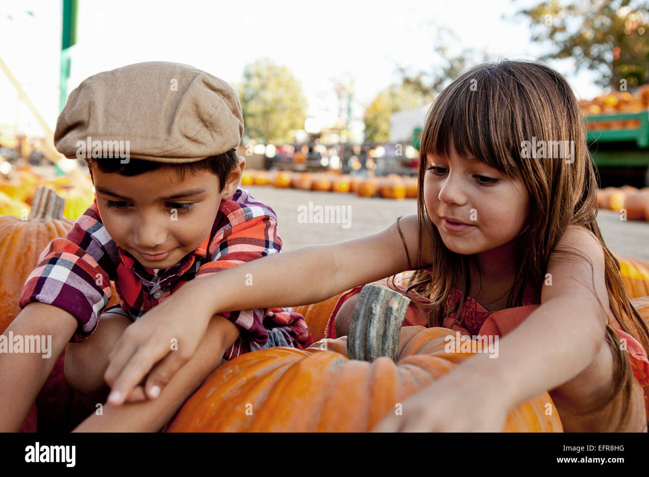 Boy and girl reaching for pumpkins in farmyard Stock Photo