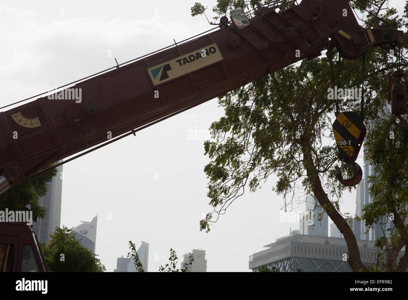 500PRO crane in Dubai, UAE Stock Photo Alamy