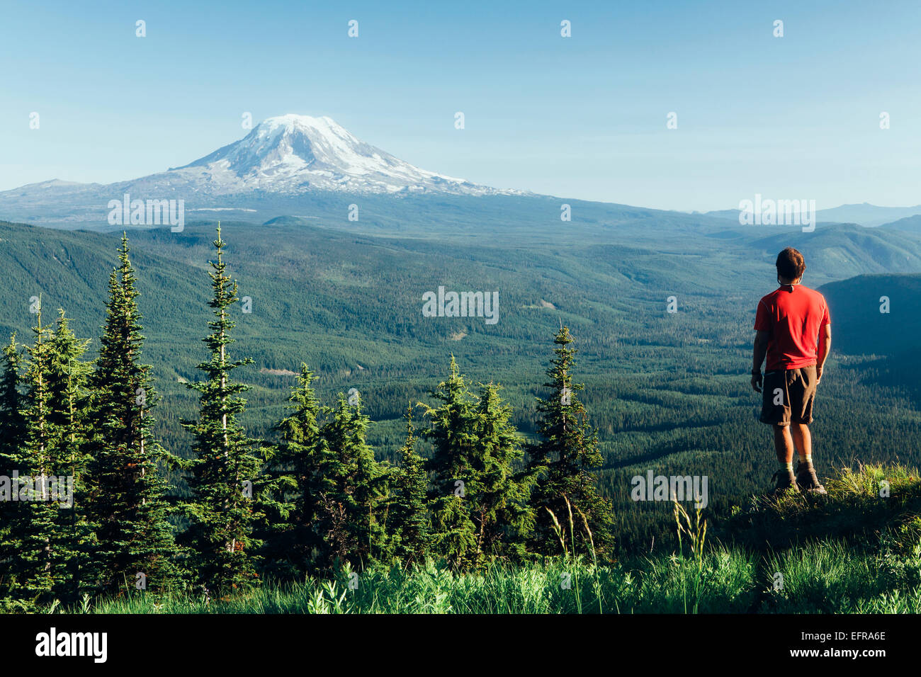 Rear view man hiker red hi-res stock photography and images - Alamy