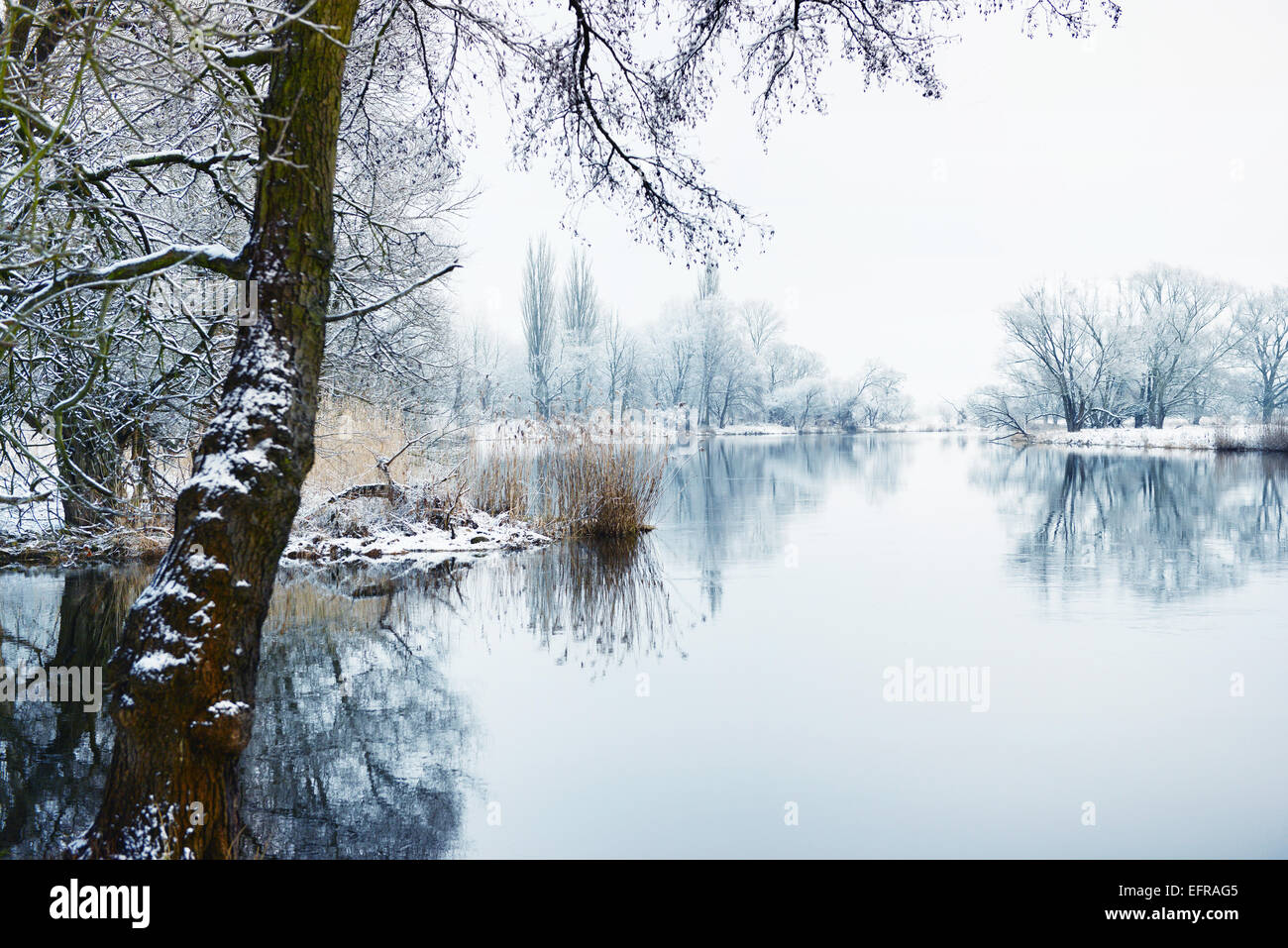Winter landscape on Havel River (Germany) Stock Photo