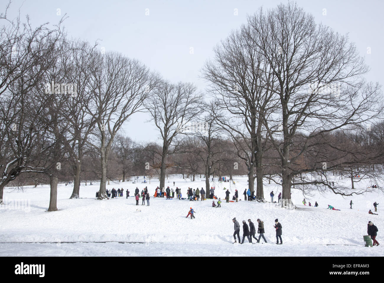 Families sledding and people just out enjoying Prospect Park after a snowfall in Park Slope, Brooklyn, NY. Stock Photo