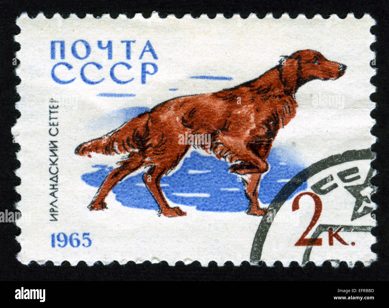 USSR,post mark,stamp,animals,animals illustrations,dog,,fauna,Irish Setter Stock Photo