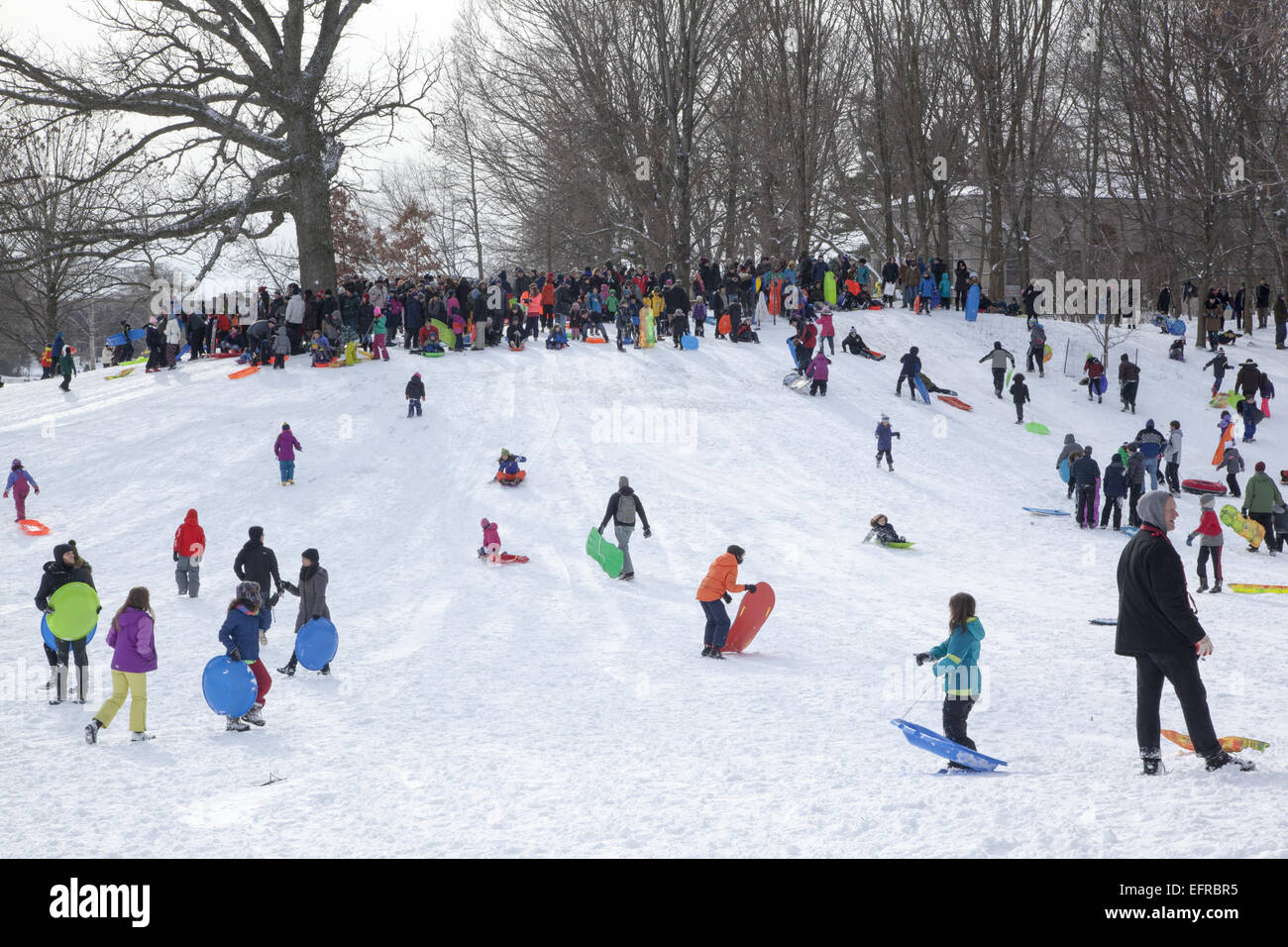 Families sledding and people just out enjoying Prospect Park after a snowfall in Park Slope, Brooklyn, NY. Stock Photo