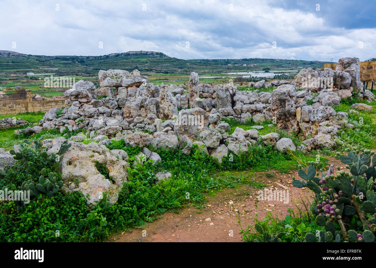 Ta Hagrat is a Maltese Prehistoric Megalithic Temple site inscribed on the UNESCO World Heritage List. Stock Photo