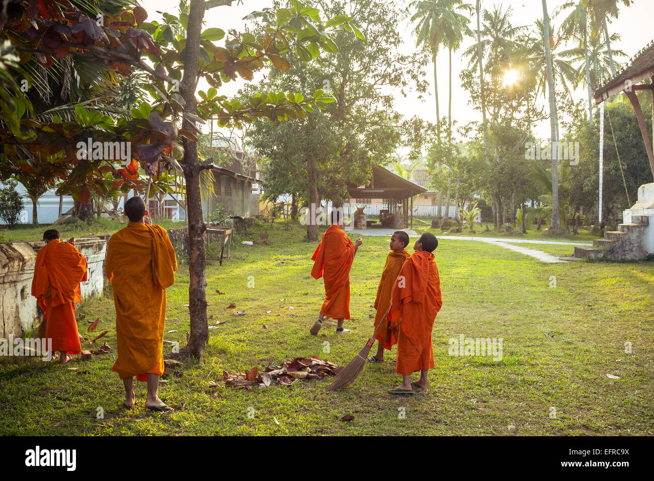 Young buddhist monks, Luang Prabang, Laos. Stock Photo