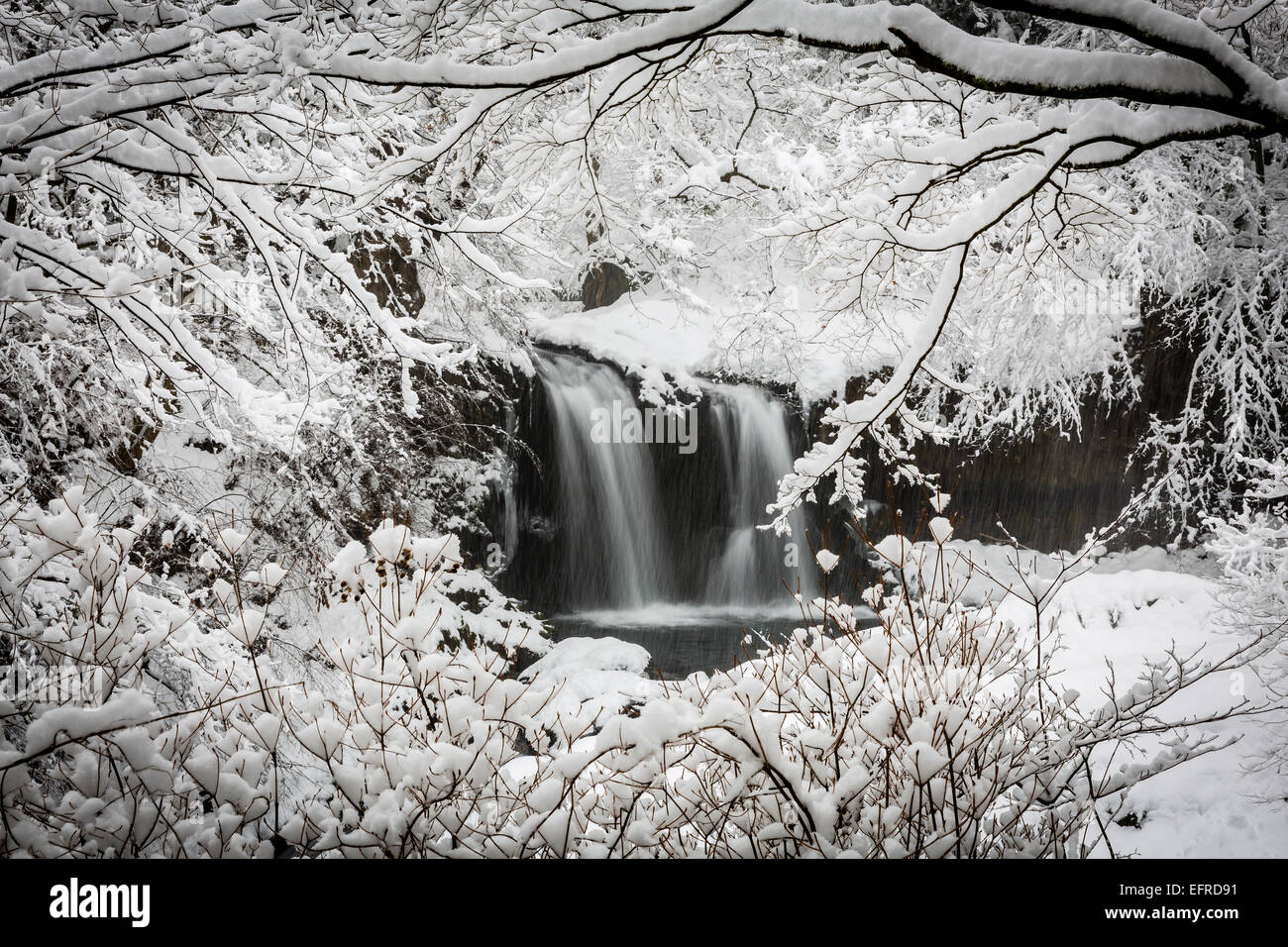 Kaneyama Waterfall Covered in Snow, Yamanashi, Japan Stock Photo