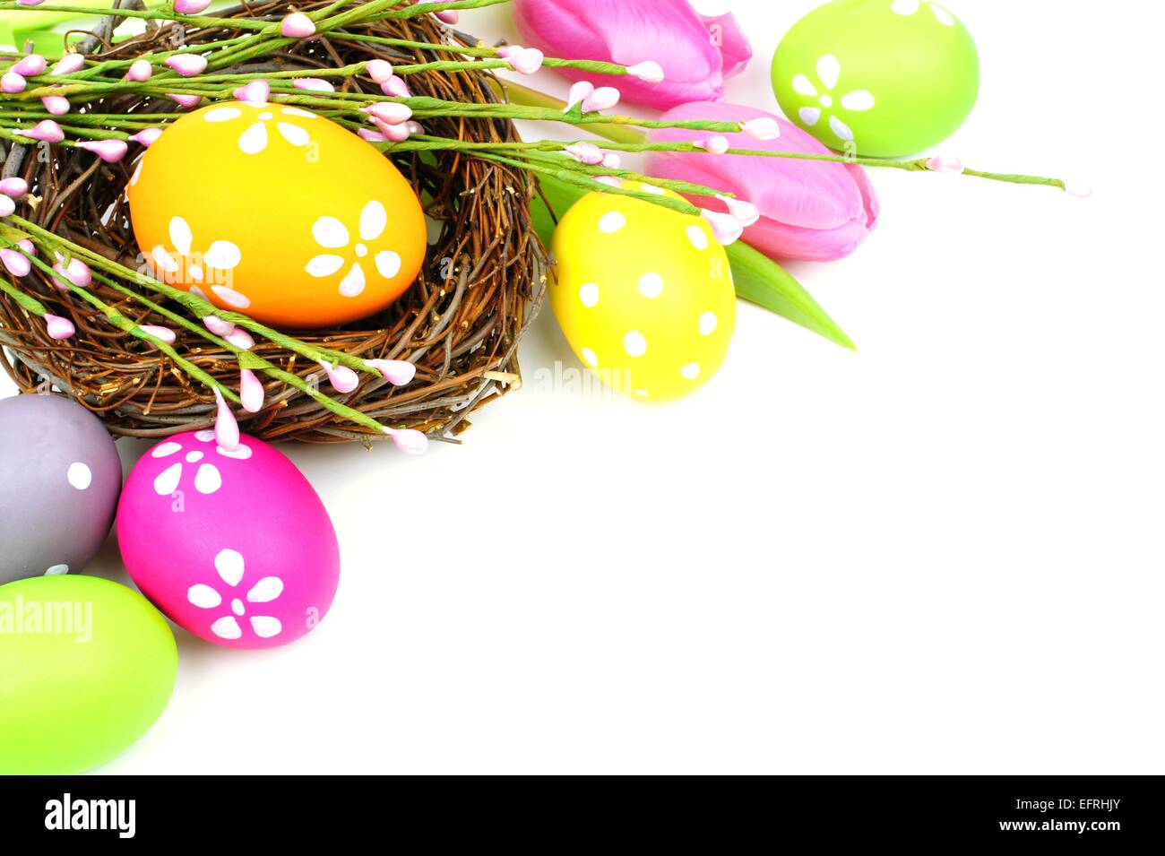 Easter eggs and nest with tulips forming a corner border over white ...