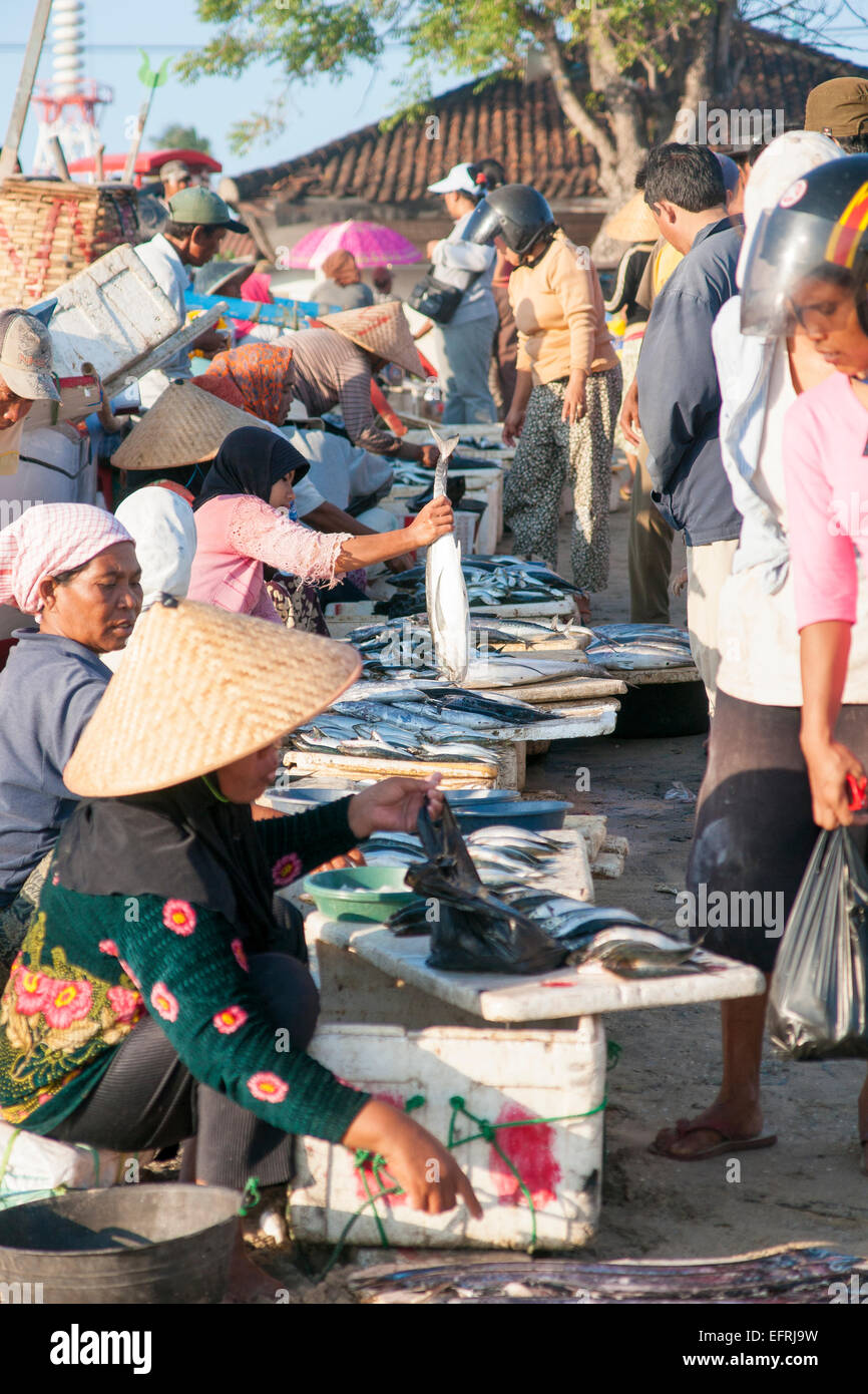Fish market in Bali, Indonesia Stock Photo Alamy