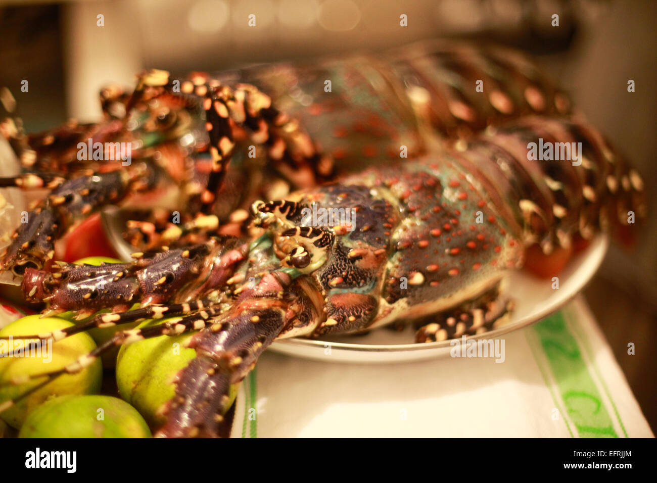 Lobster on plate hires stock photography and images Alamy