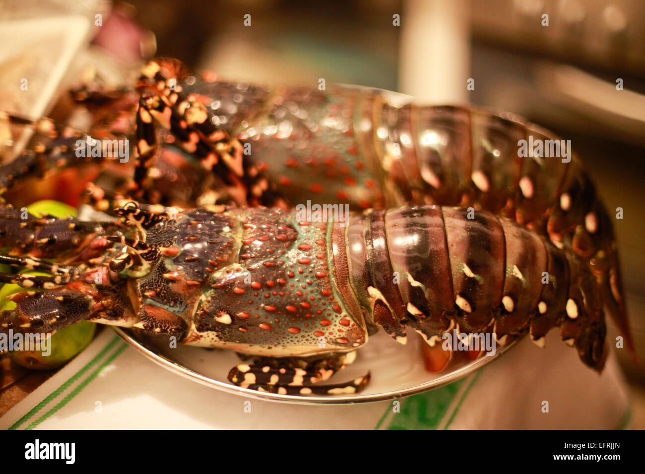 Lobsters on plate Stock Photo Alamy