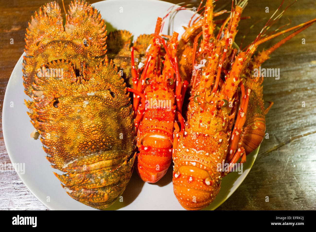 Boiled lobsters Stock Photo