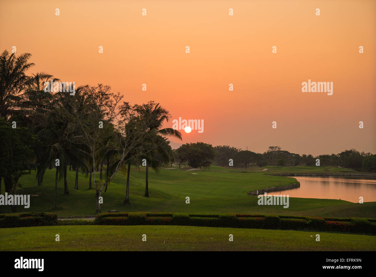 Beautiful golf course during sunset for background Stock Photo