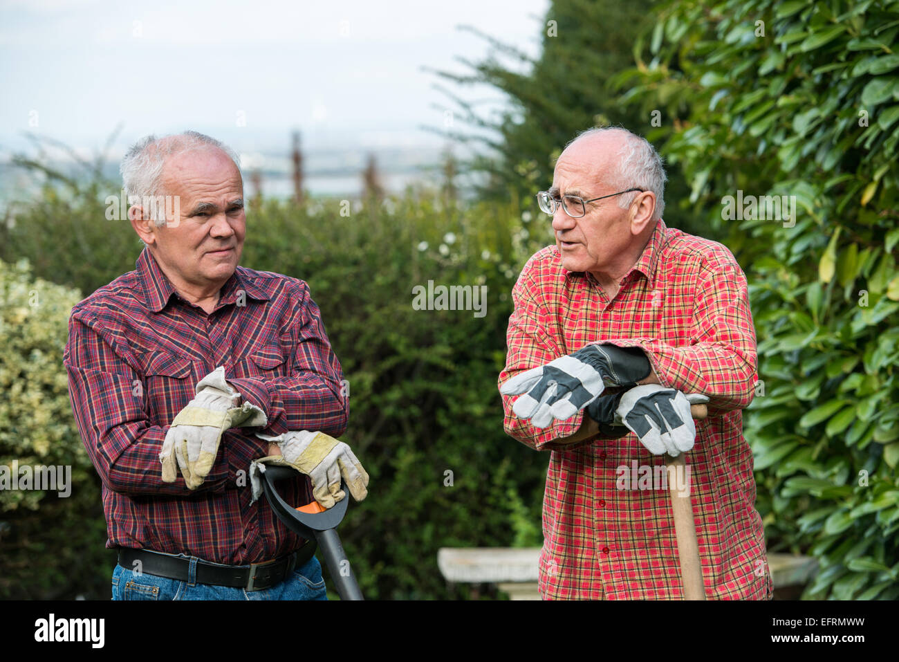 садовник в саду. старый садовник. эмиль клаус (1849 - 1924. старик садовник. яблоня и садовник.