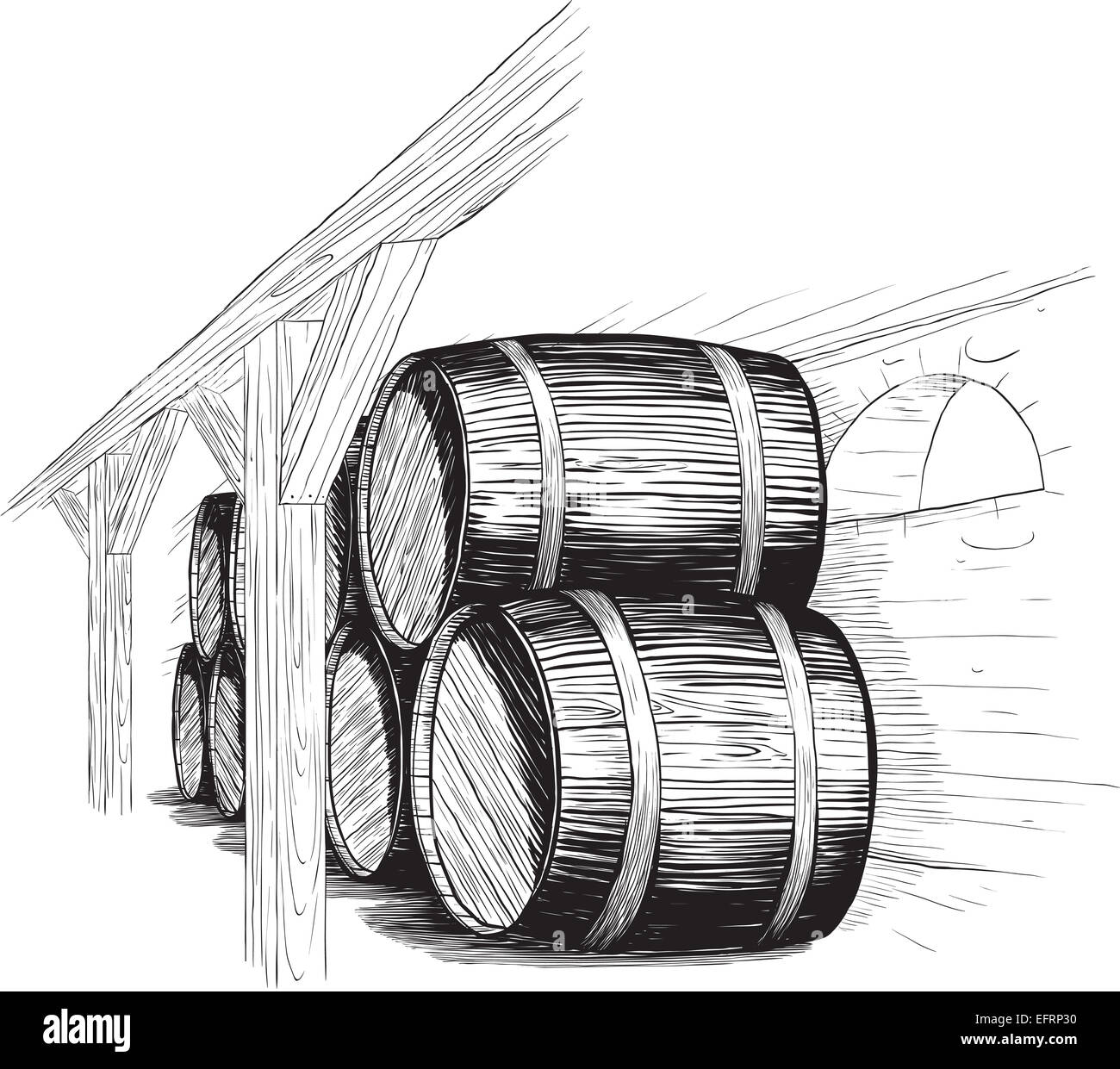 wine cellar with barrels Stock Photo Alamy