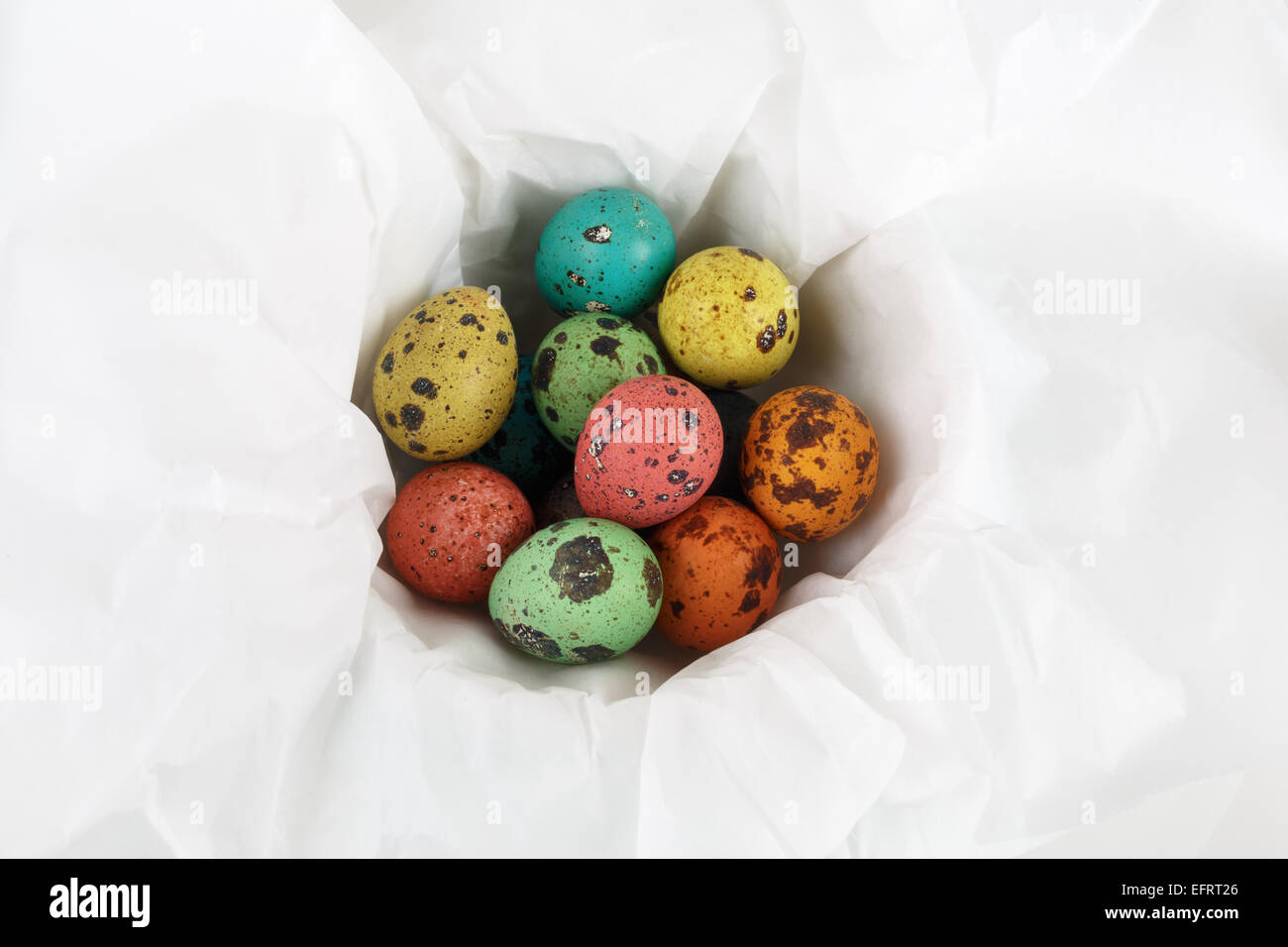 Colored quail eggs on a white background wrapping paper. Top view Stock
