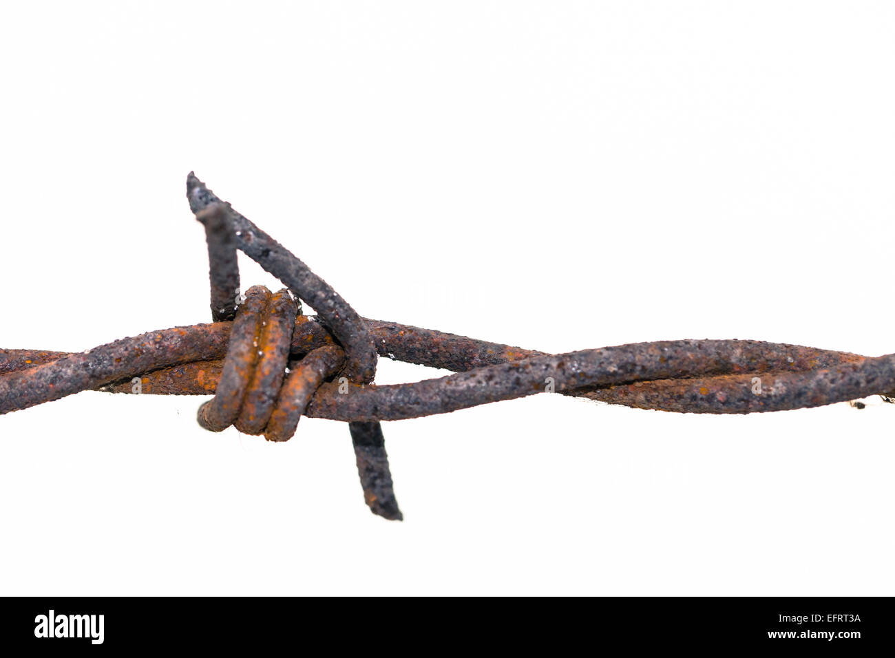 Barbed wire knot hires stock photography and images Alamy