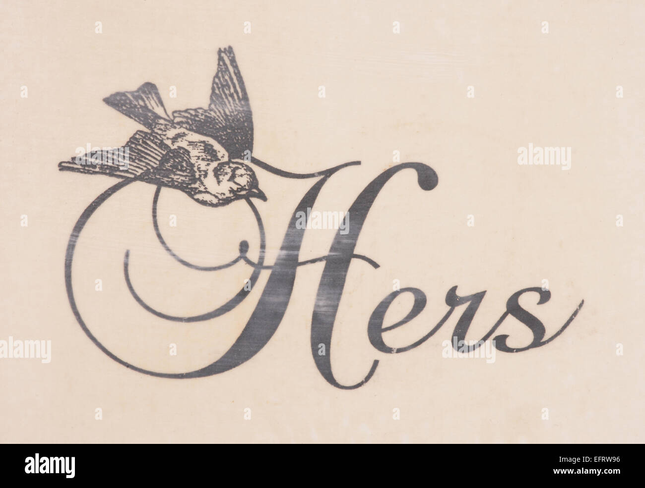 text hers with bird abstract background Stock Photo