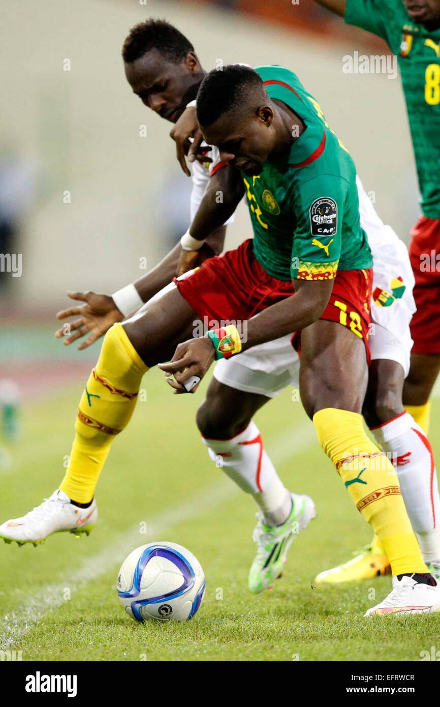 Henry Bedimo Nsame of Cameroon shields the ball fromMohammed Yatarra of Guinea during their AFCON match at the Nueva Estadio de Malabo on January 24, 2015.Photo/Mohammed Amin/www.pic-centre.com (Equatorial Guinea) Stock Photo