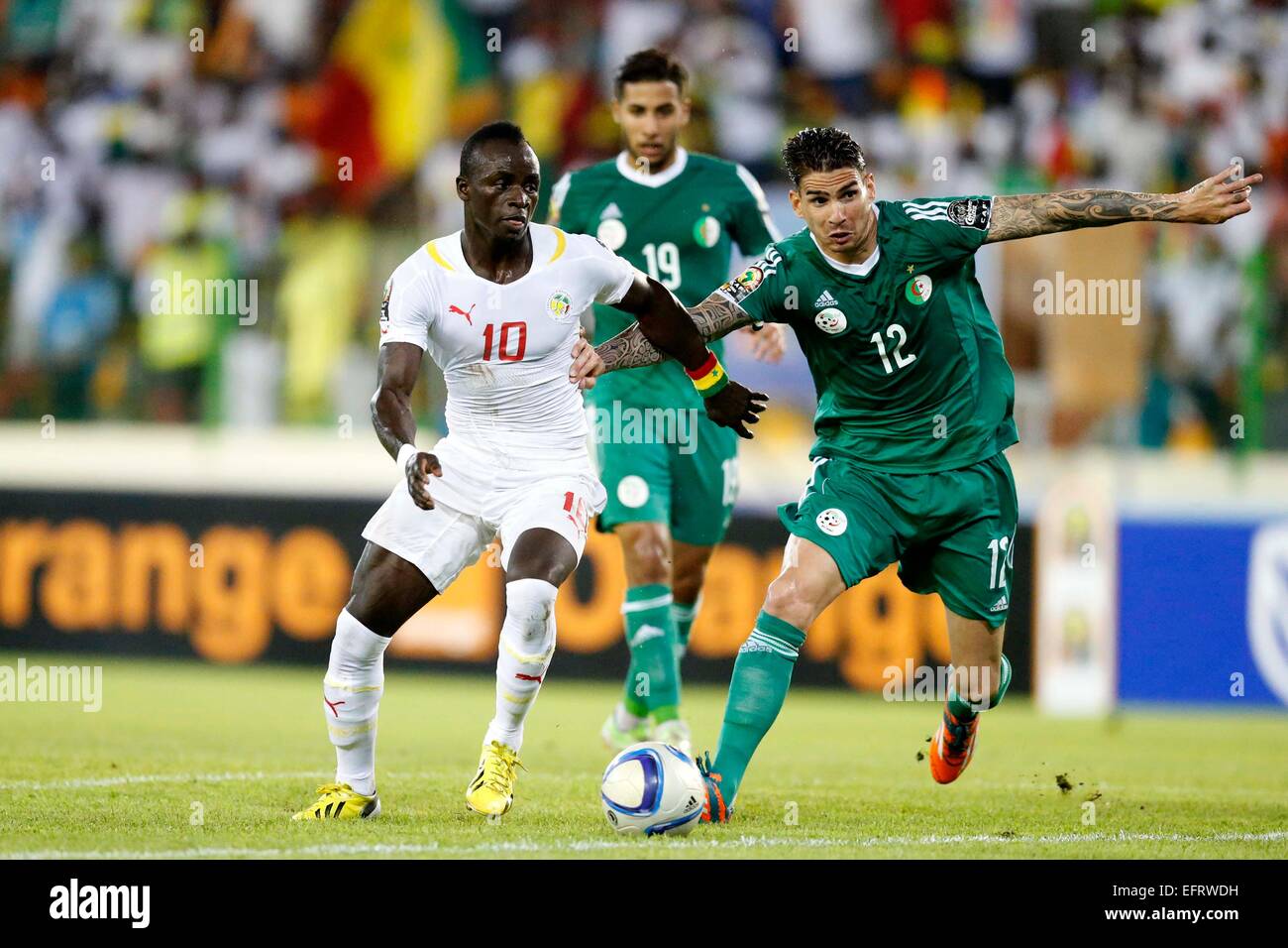 Carl Medjani of Algeria challenges Sadio Mane of against Senegal during their AFCON group C match at Estadio de Malabo in Equatorial Guinea on January 27, 2014.Photo/Mohammed Amin/www.pic-centre.com (Equatorial Guinea) Stock Photo