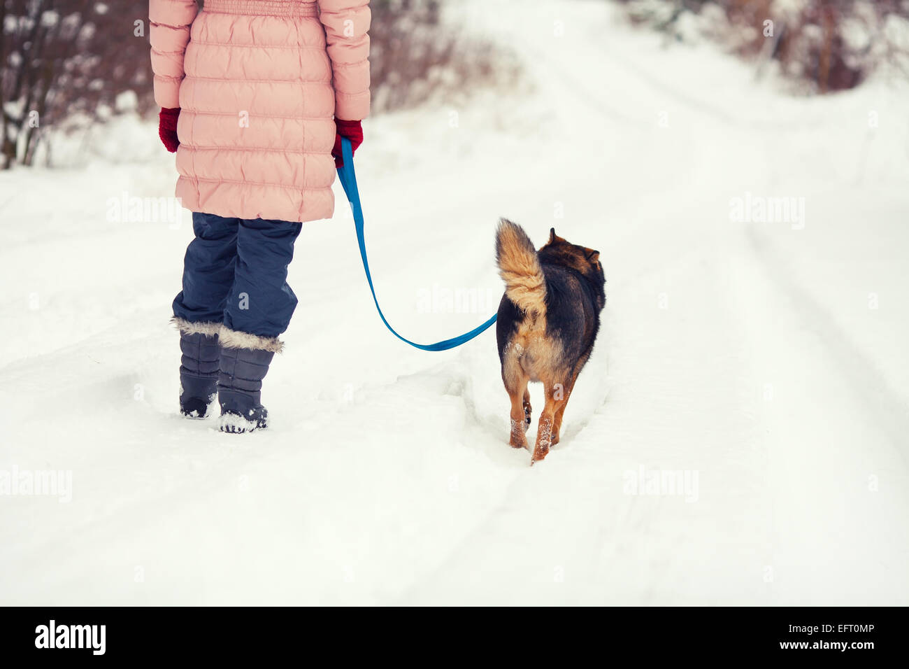 Young woman with dog walking on the snowy street back to camera Stock Photo