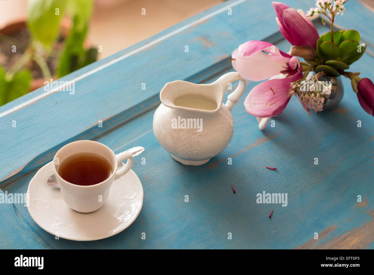 A tea cup and creamer on old wooden table. Stock Photo