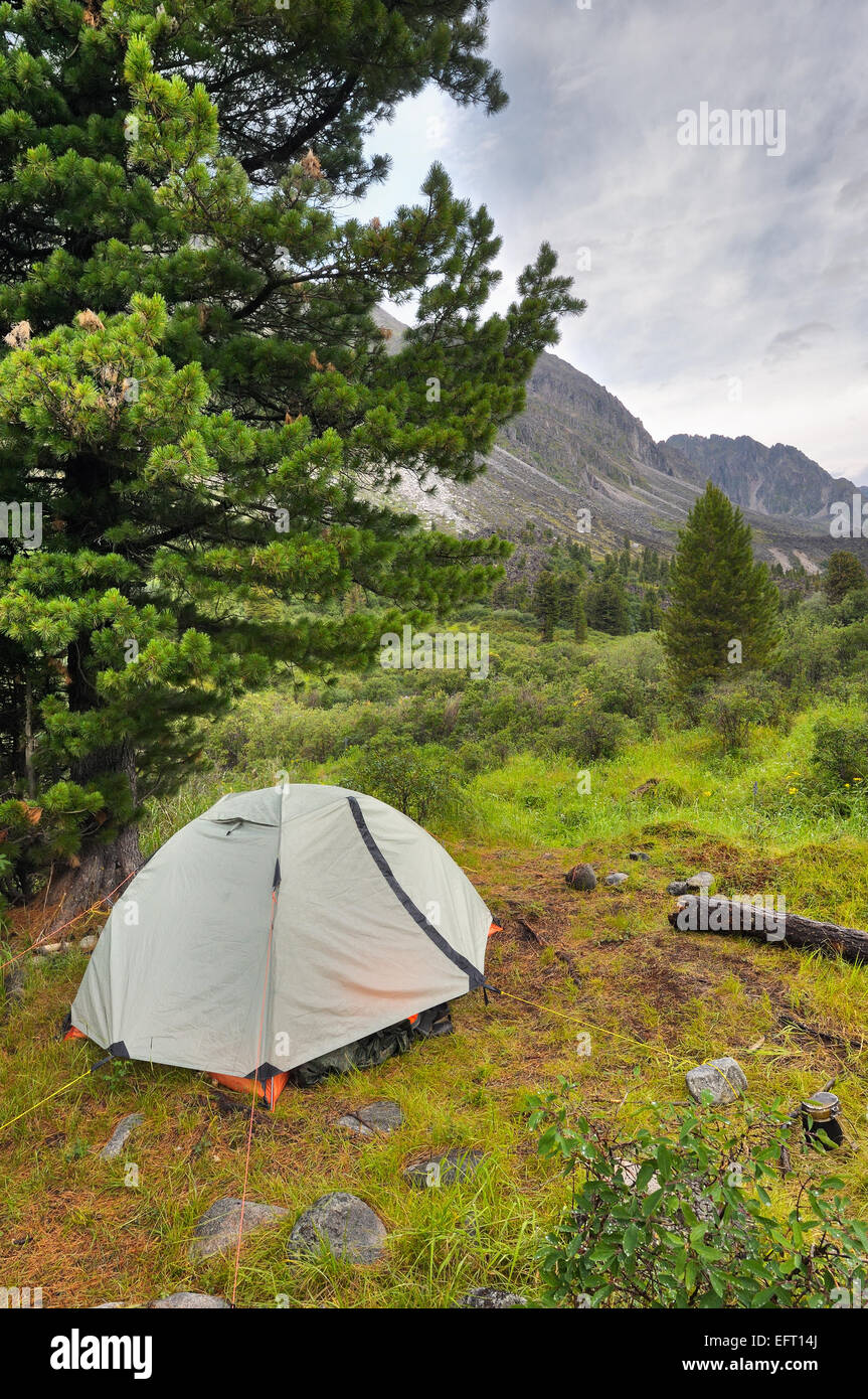 Double lightweight sports tent under a large Siberian pine in a mountain valley Stock Photo