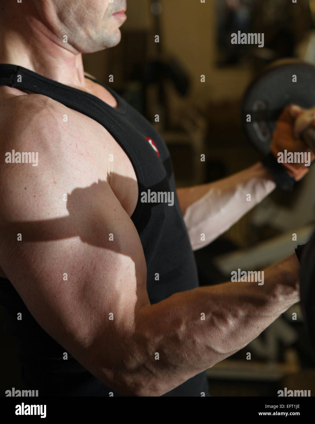 bodybuilding workout in gym. Male lifting free weights. training with barbell to build muscle and biceps Stock Photo