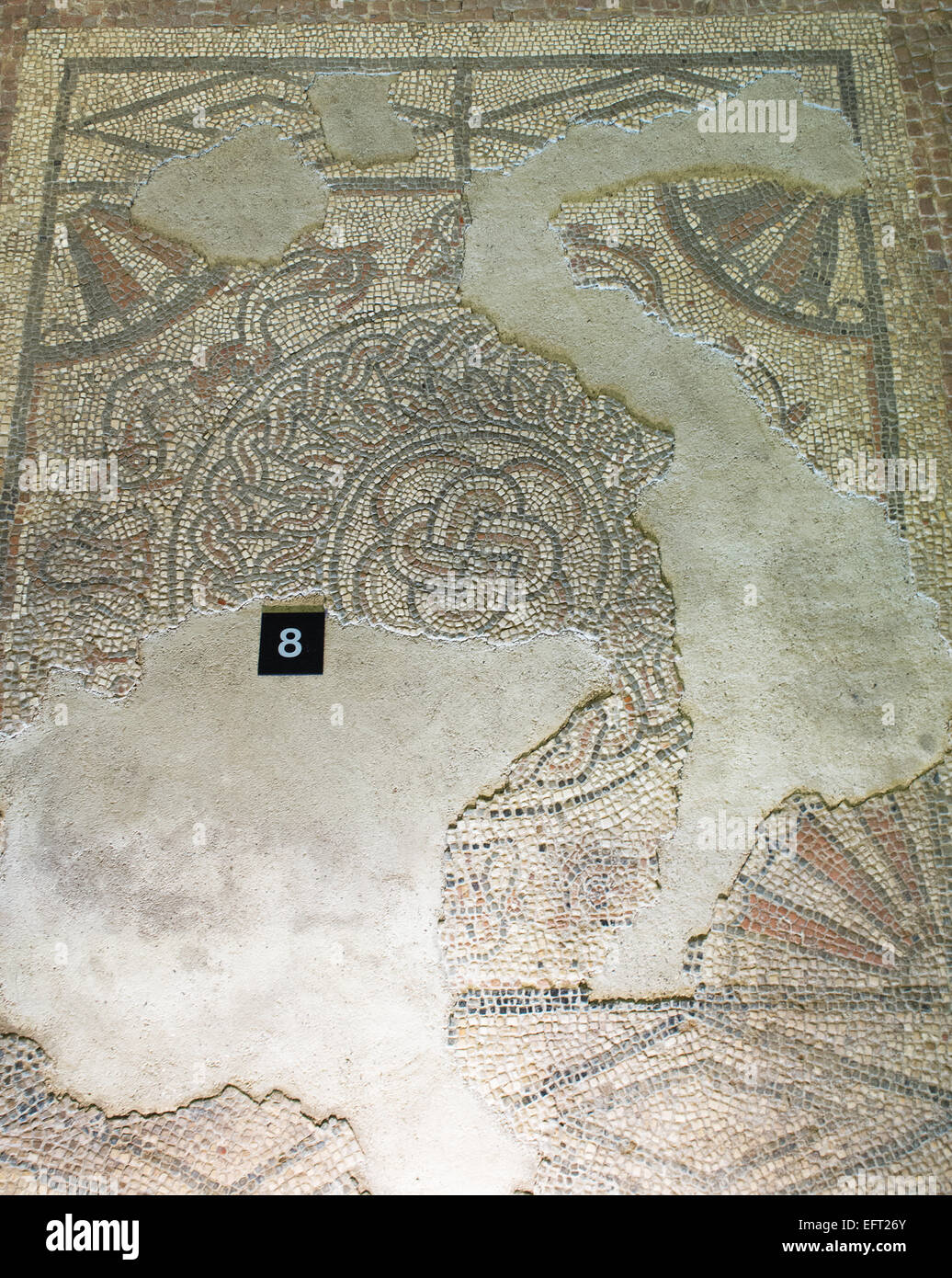 Mosaic details at  Fishbourne Roman Palace, Nr Chichester West Susses UK Stock Photo