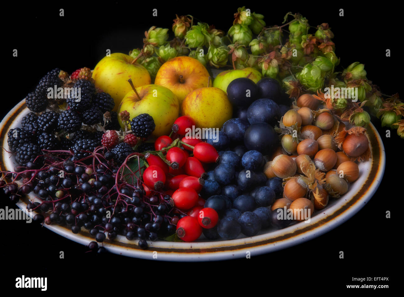 Fruits and nuts gathered from an English hedgerow in autumn Stock Photo