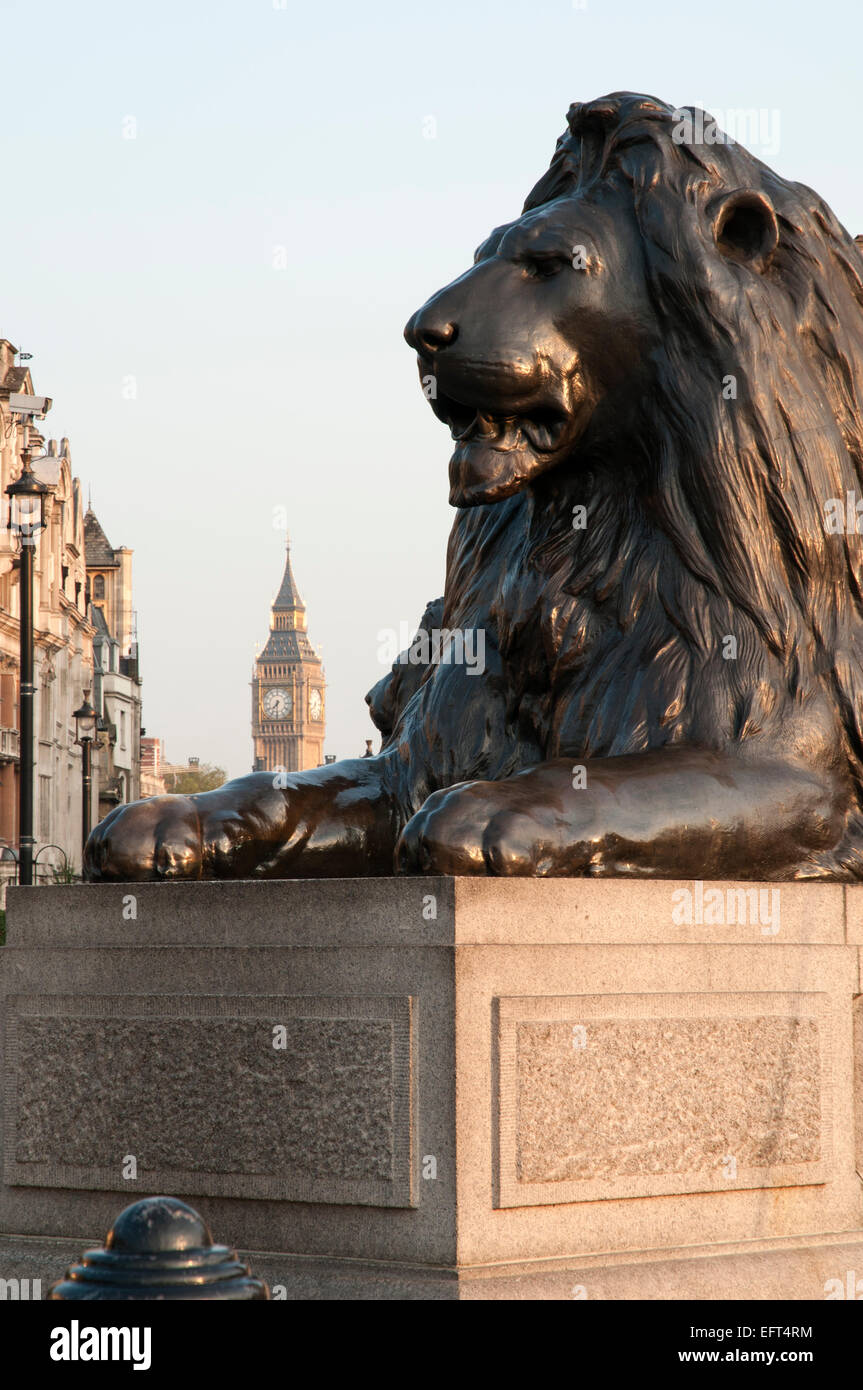 Portrait image from London showing one of the Trafalgar Square 'Lions' with 'Big Ben' and Westminster in the background. Stock Photo