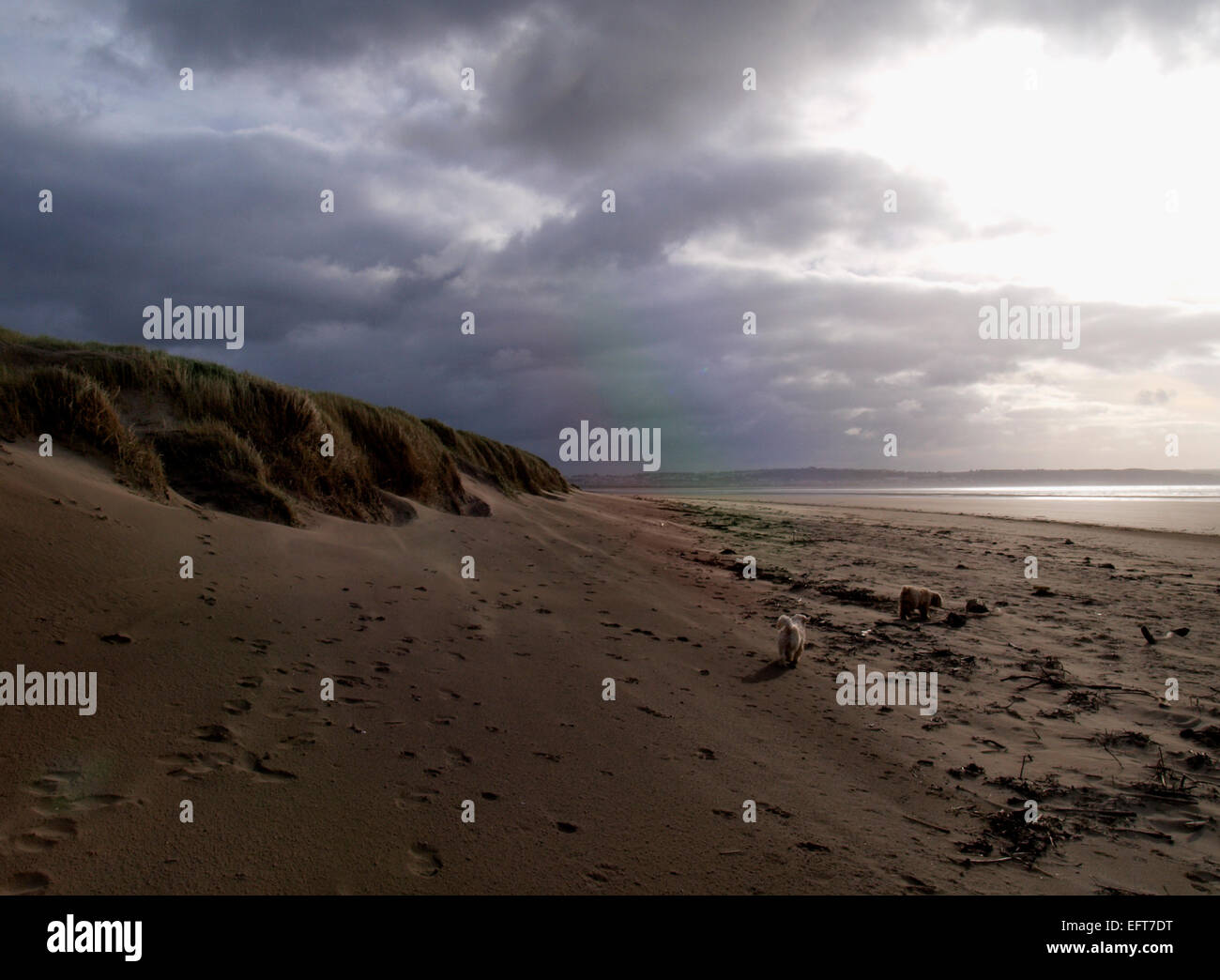 Winter beach scene, Saunton Sands, Devon, UK Stock Photo