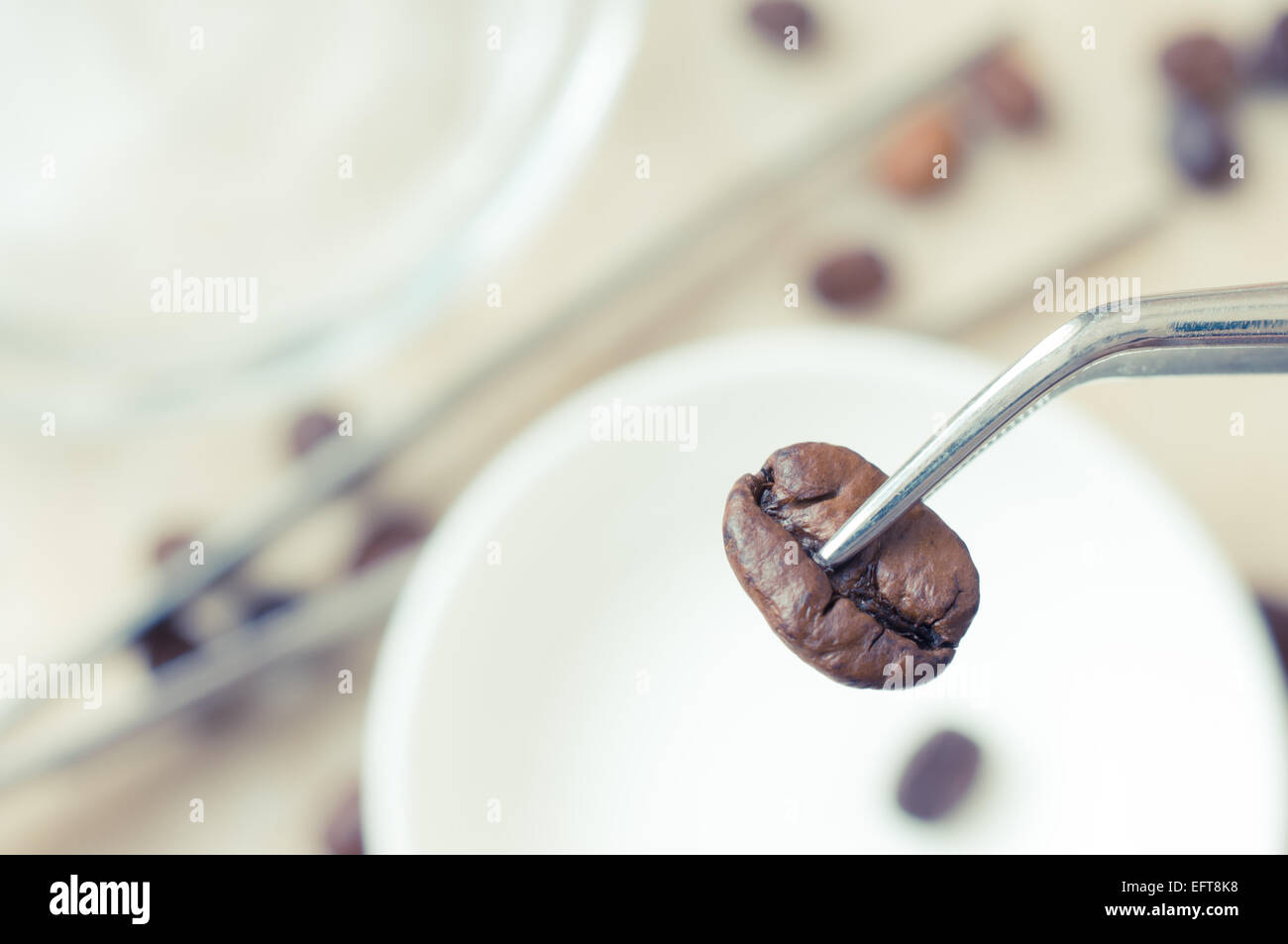 Laboratory examination of the coffee bean to meet quality standards