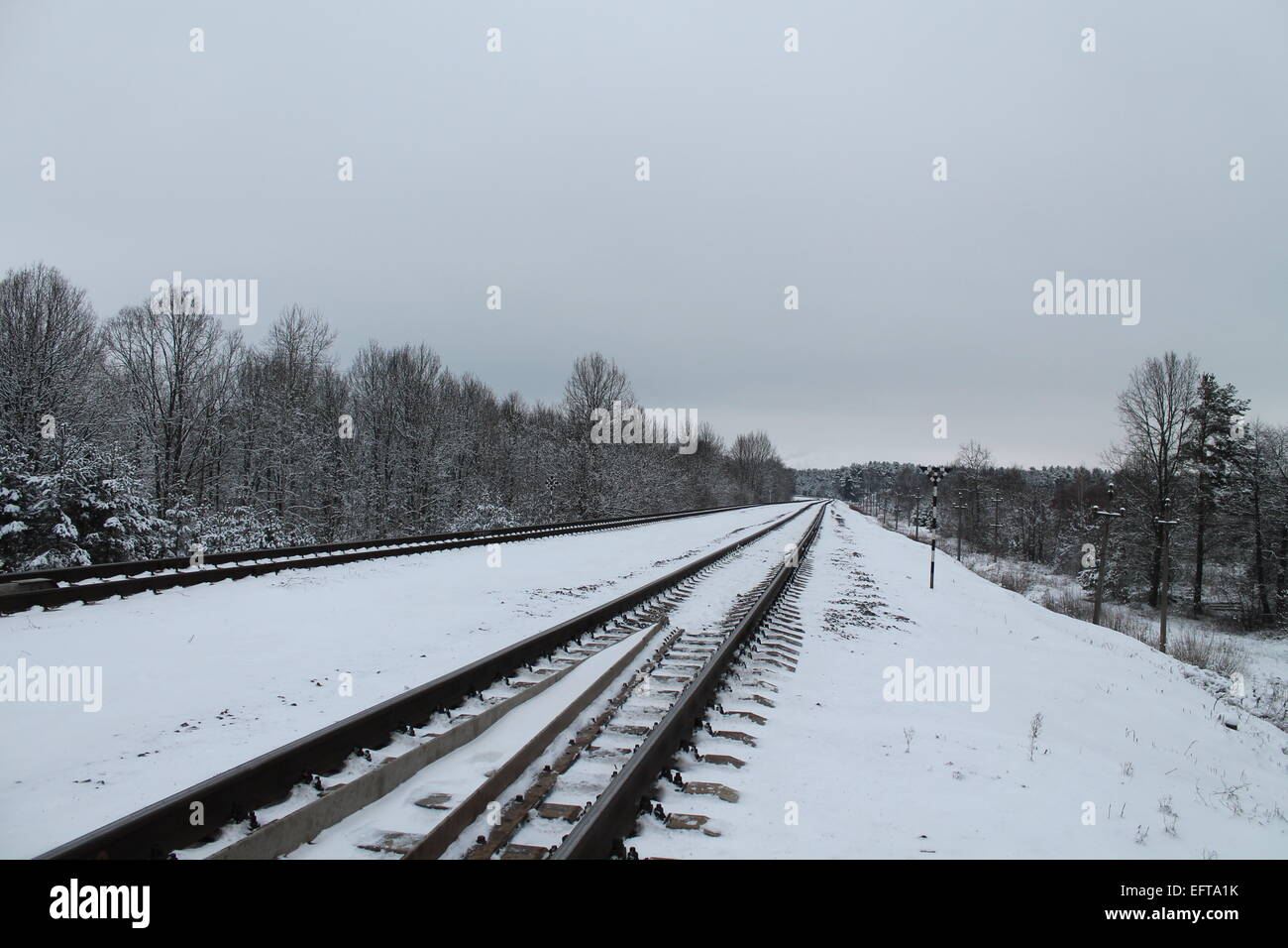 straight going in far away through winter forest shine railway Stock Photo