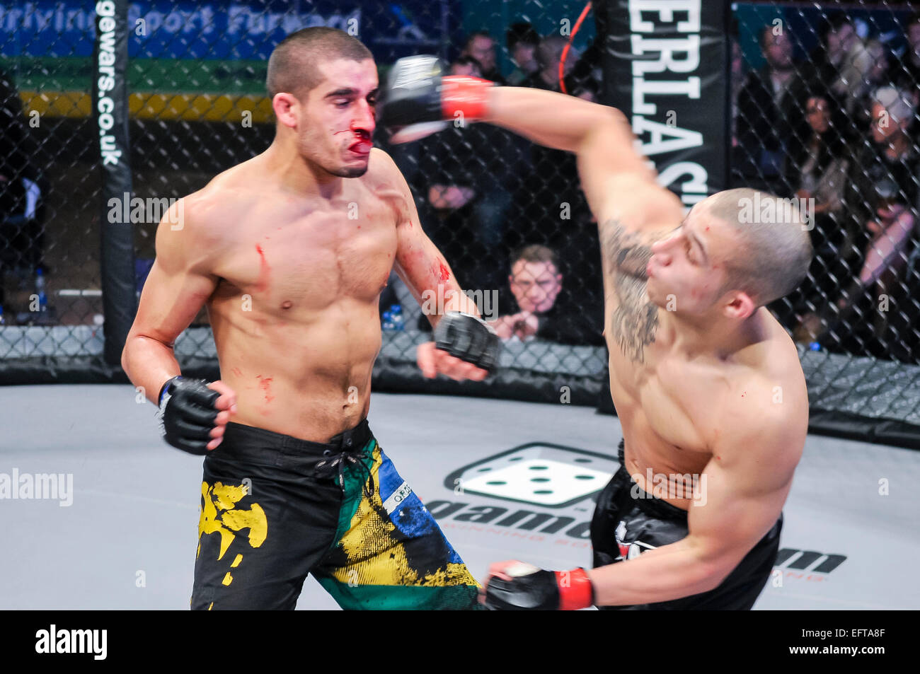MMA cage fighter punches his opponent in the head after previously breaking his nose. Stock Photo