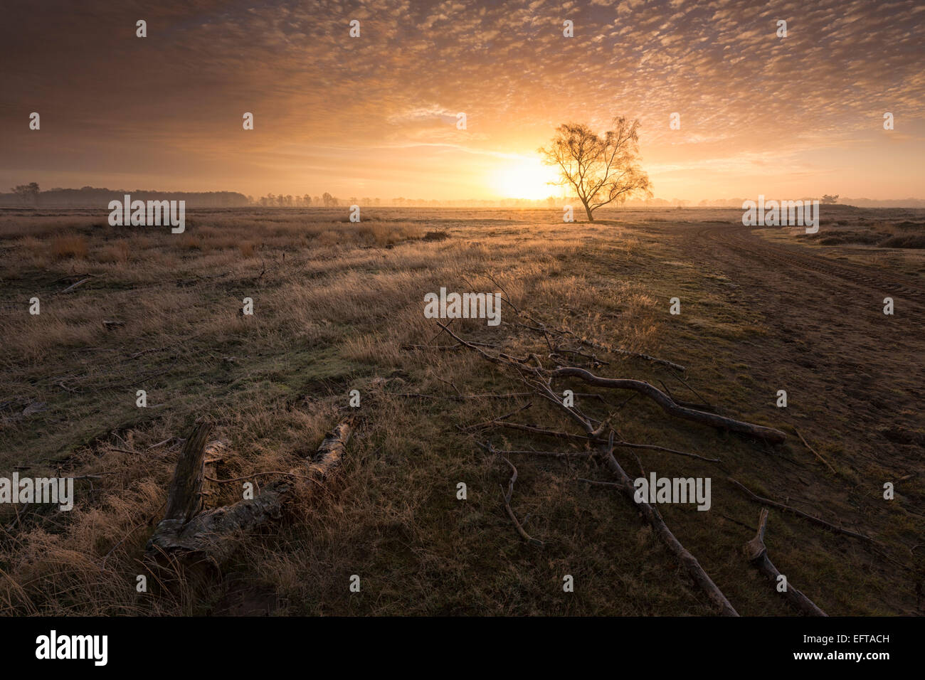 First morning light hi-res stock photography and images - Alamy