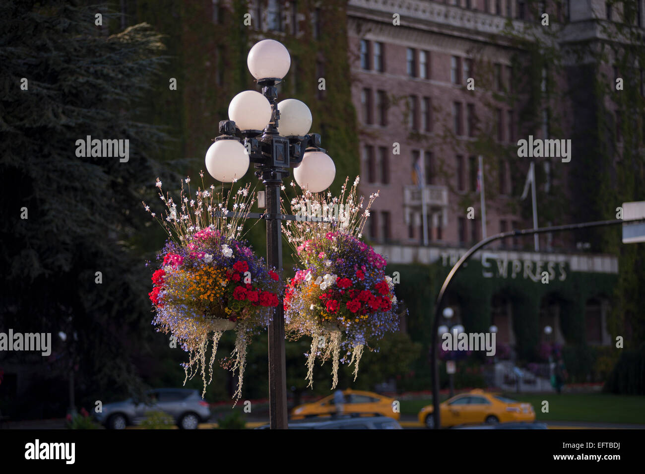 The famous hanging flower baskets of Victoria, British Columbia, Canada. The Empress Hotel can