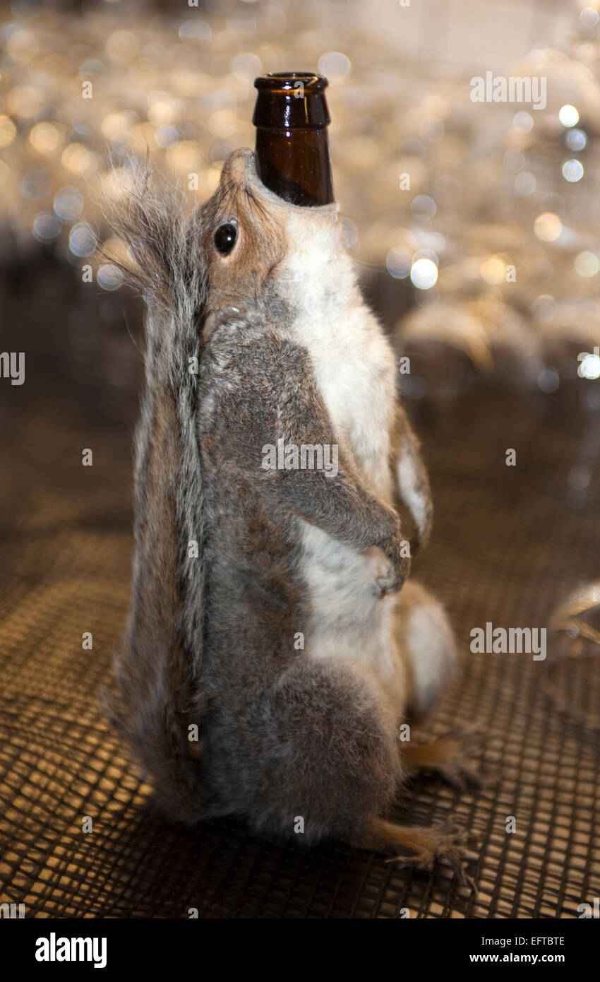 The End of History Ale a 55% Strength Beer Bottle Sold in Squirrel Skin by Brewdog Beers Stock Photo