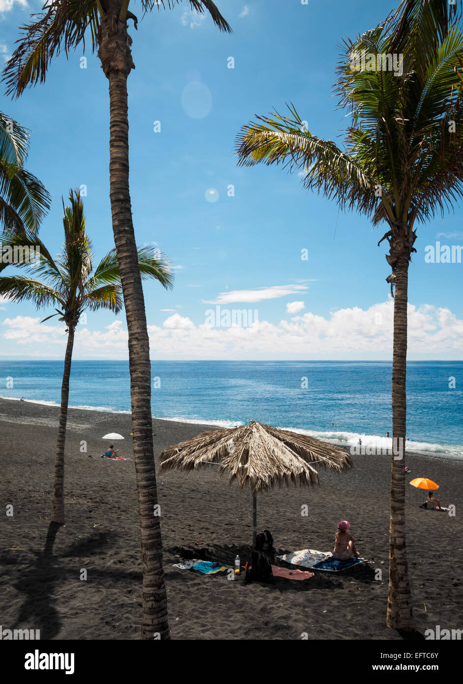 Palm trees at the black beach of Puerto Naos on the Canary island of La Palma. Stock Photo