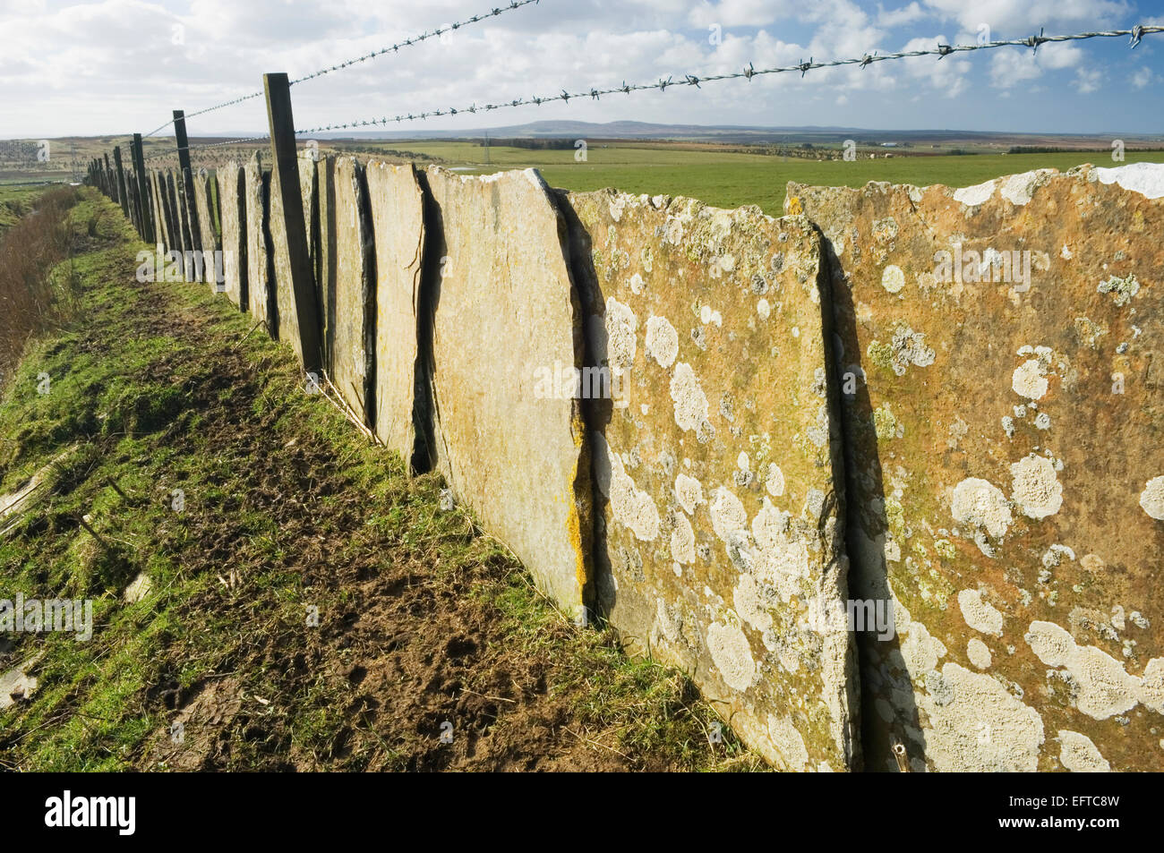 Traditional Caithness drystane dyke using flat sandstone 'flags'. Stock Photo