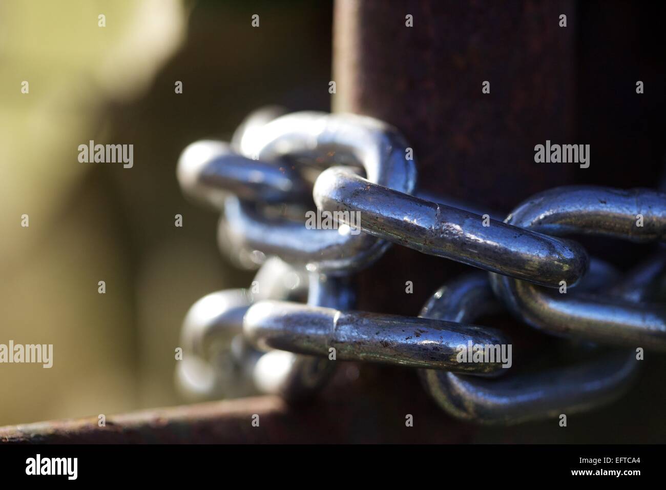 padlock chain on a gate Stock Photo Alamy