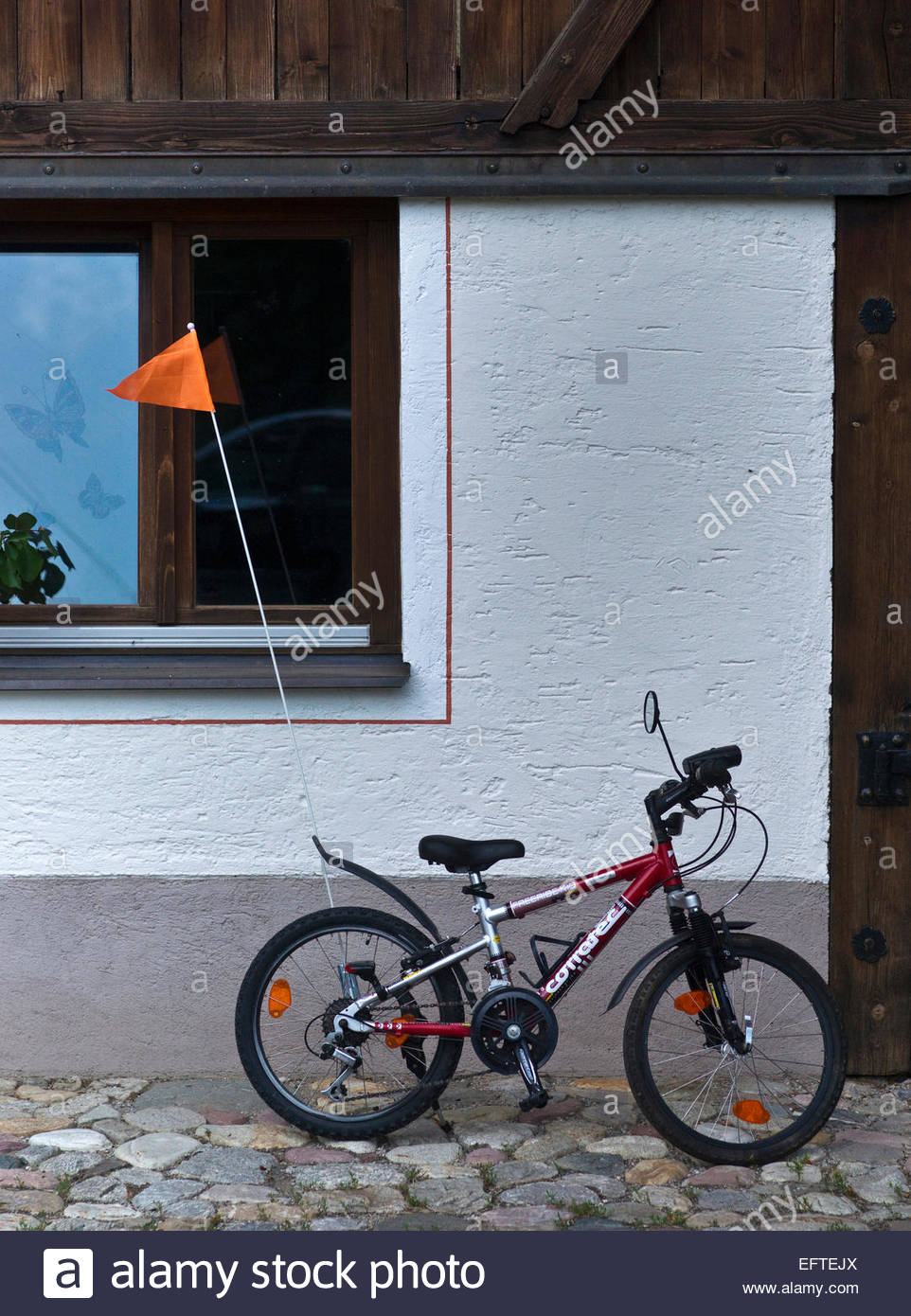bicycle safety flags