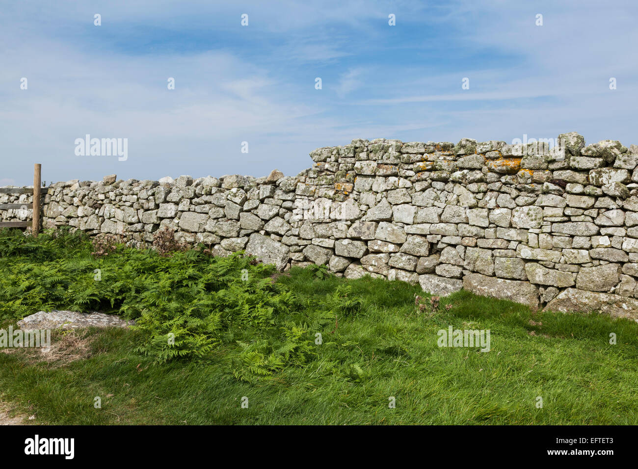 Dry stone wall on Lundy Island Stock Photo