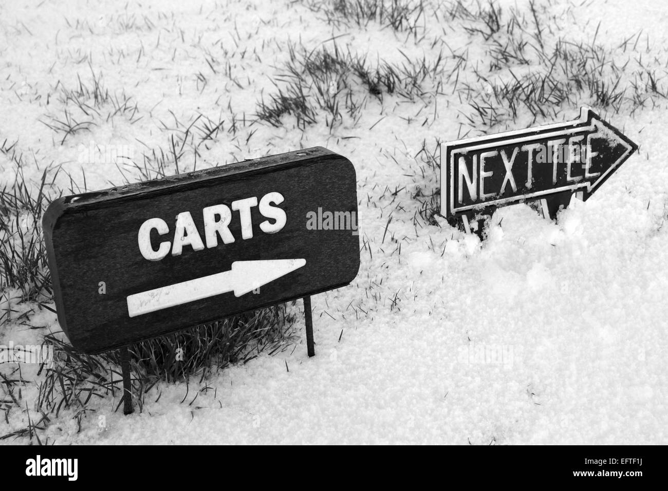 carts and next tee sign on a snow covered links golf course in ireland in snowy winter weather Stock Photo