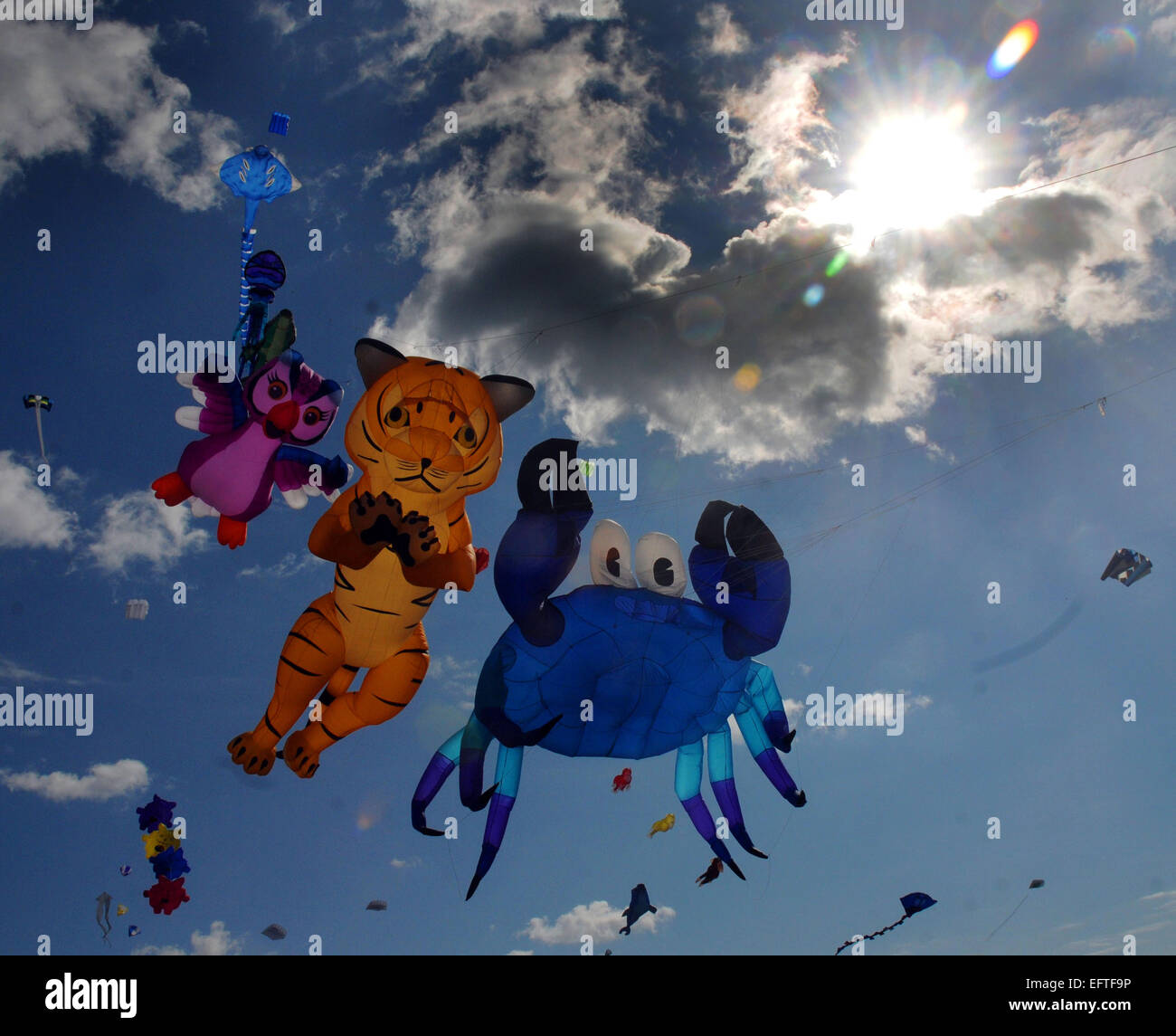 Kites of all shapes and sizes flying over the seafront at Southsea