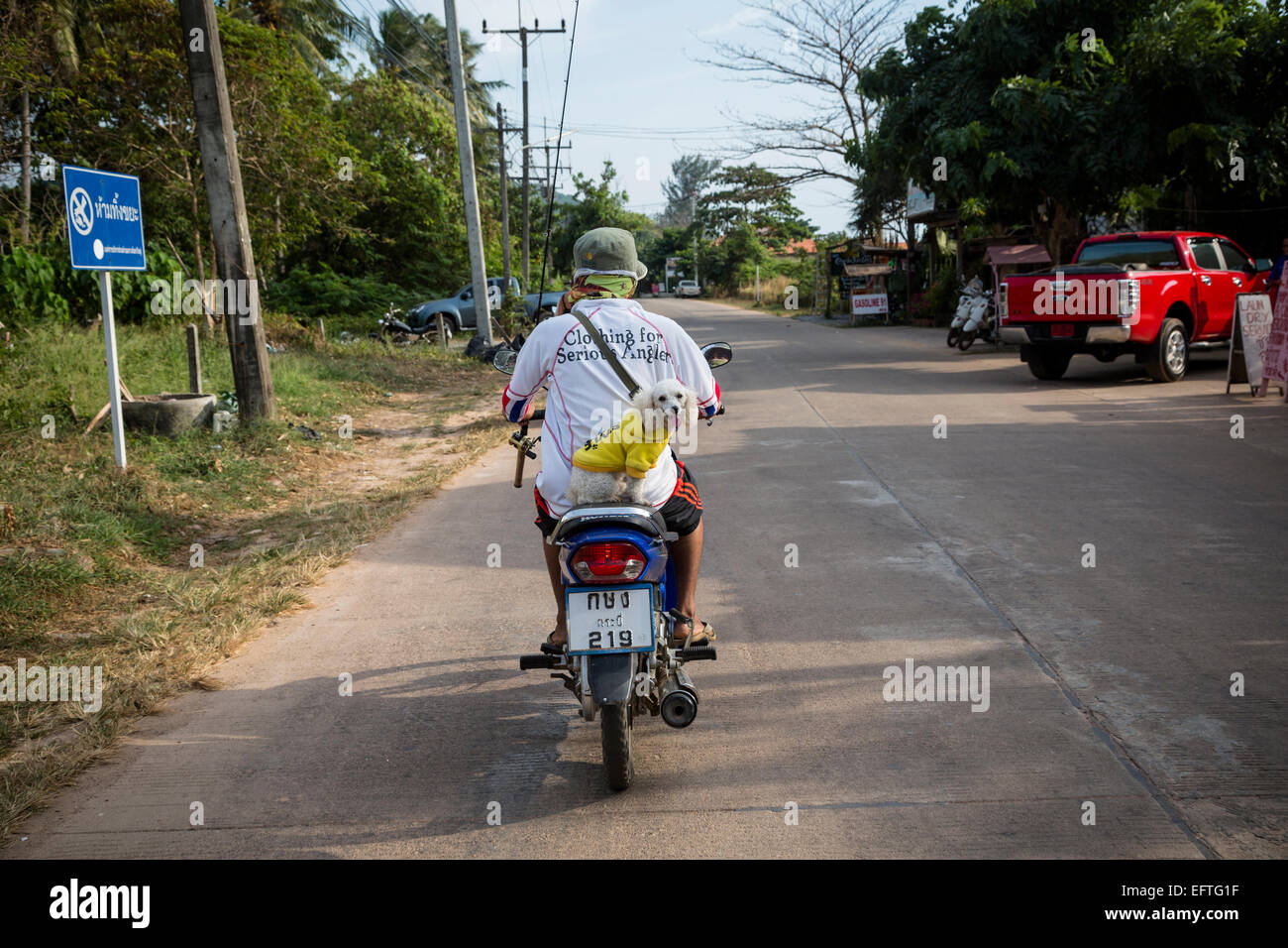 Man and a dog on a scooter, Ko (Koh) Lanta, Thailand. Stock Photo