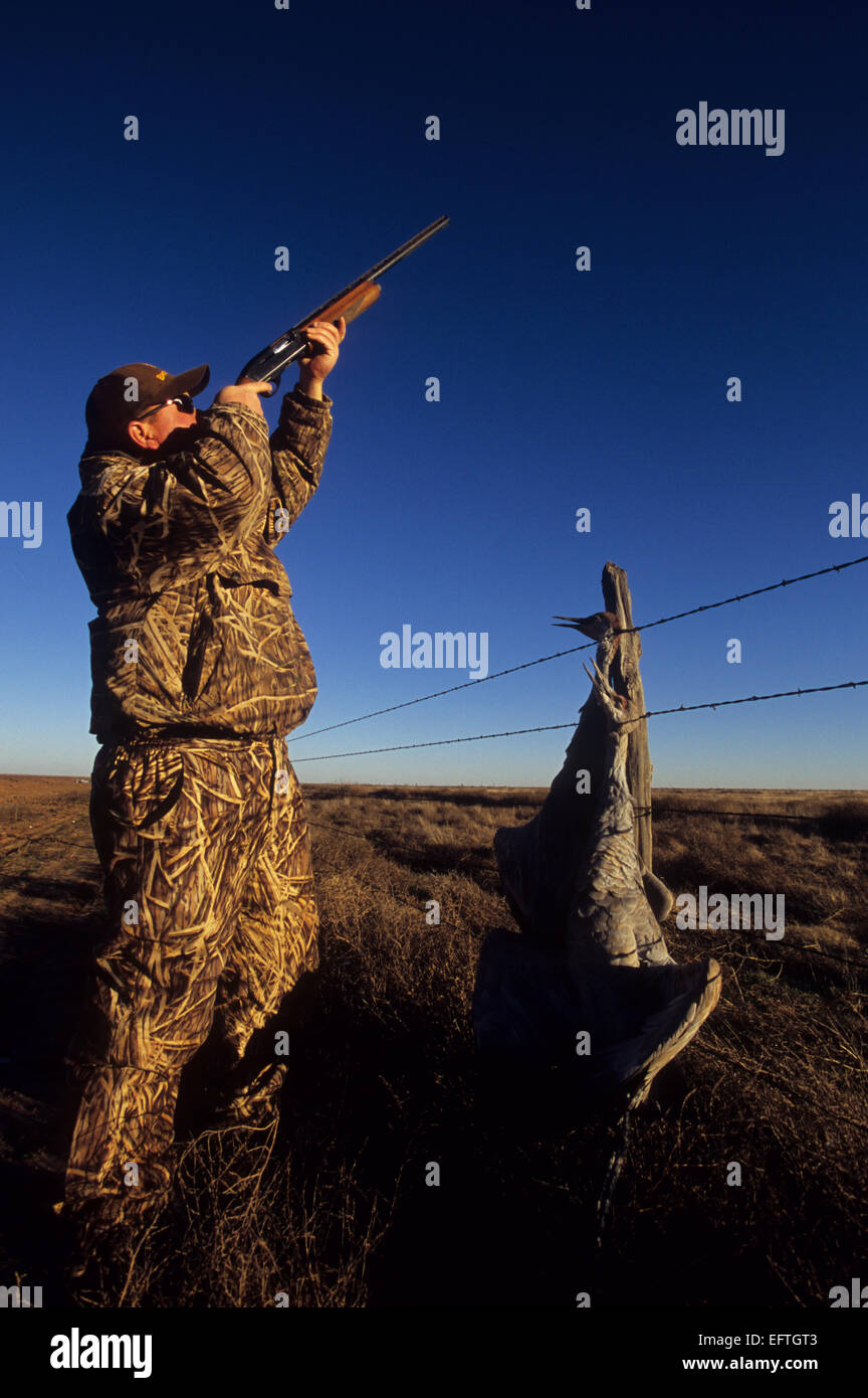 Cover crane hires stock photography and images Alamy