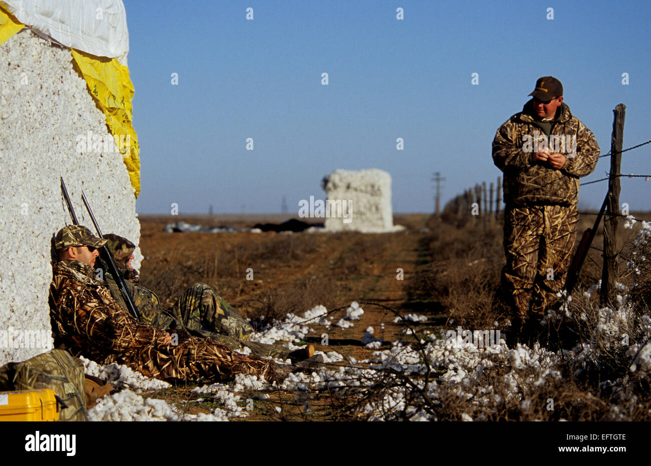 Sandhill crane hunting in the Texas Panhandle Stock Photo Alamy