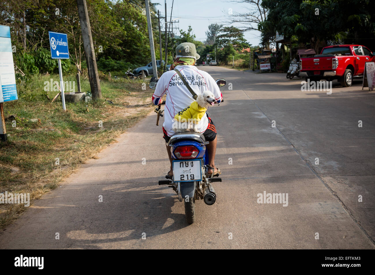 Man and a dog on a scooter, Ko (Koh) Lanta, Thailand. Stock Photo